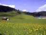 11 Filzmoos walk 6