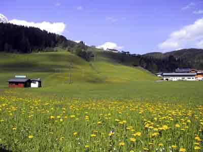 11 Filzmoos walk 6