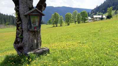 13 Filzmoos walk 8