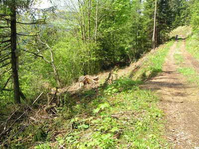 Path