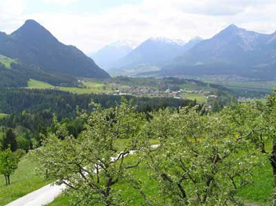 Near Reith