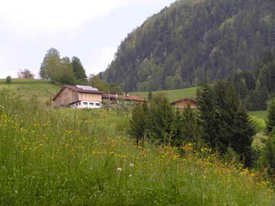 Near Reith