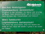 Alpbach Flora